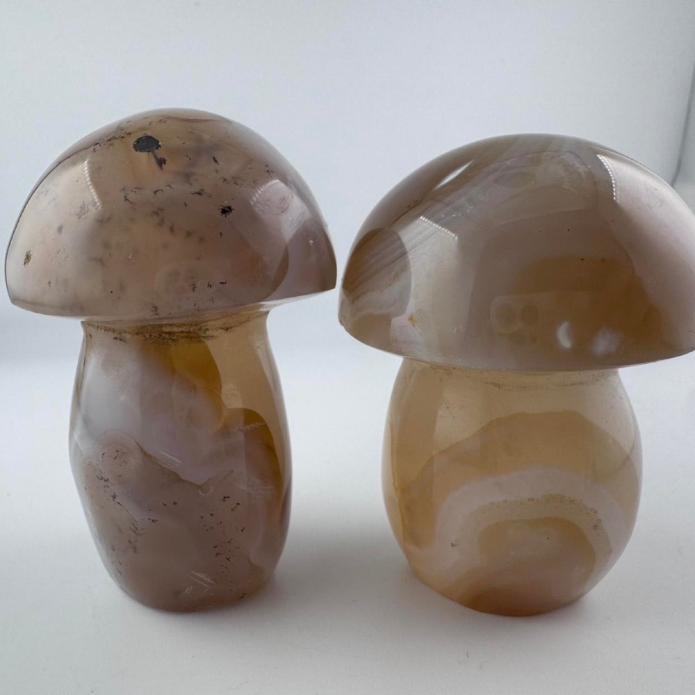 2x Agate Mushrooms Hand carved agate mushrooms